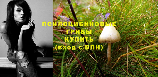дурь Абинск