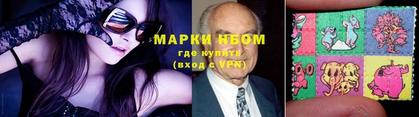 ПСИЛОЦИБИНОВЫЕ ГРИБЫ Абаза