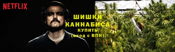 ПСИЛОЦИБИНОВЫЕ ГРИБЫ Абаза