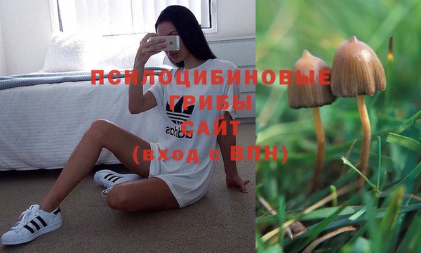 дурь Абинск